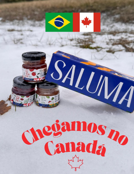 Potes e caixa Saluma na neve, com o texto Chegamos no Canadá. Recorte provisório; destino a confirmar.